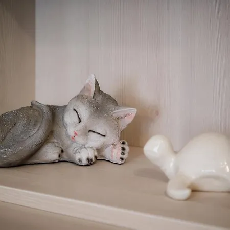 Alma 163 - Pool By N10