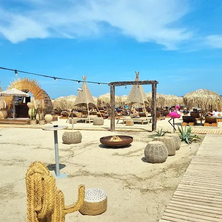 Alma 163 - Pool By N10 * Năvodari