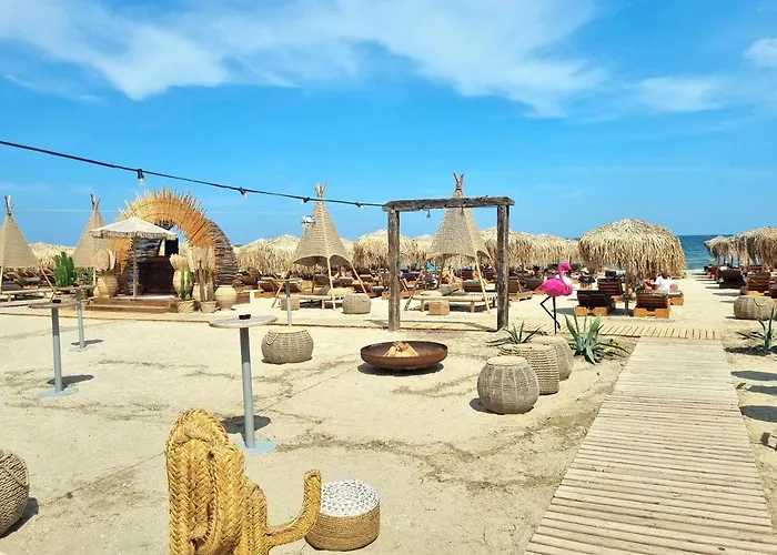 Alma 163 - Pool By N10 * 那沃达利